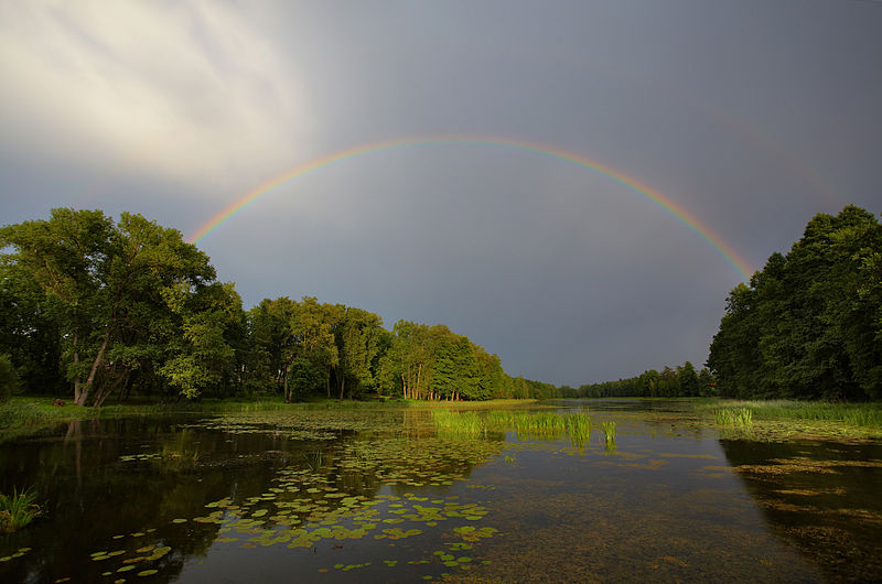 Rainbow by Vaido Otsar