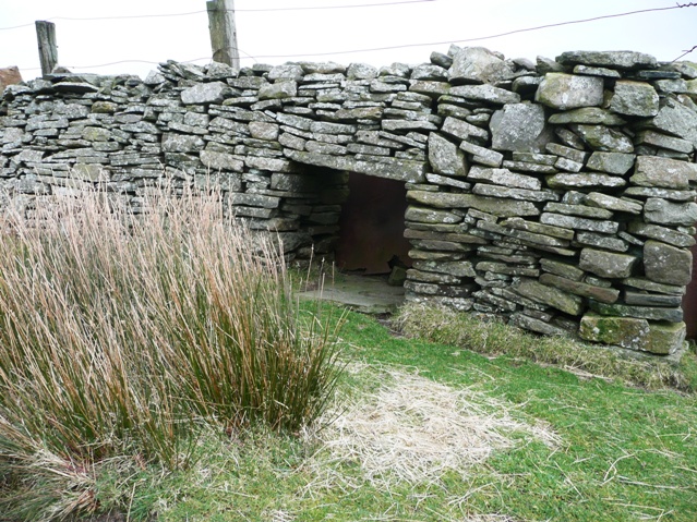 Sheep gate - geograph.org.uk - 677802